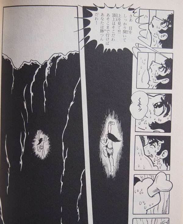 火の鳥 はどんな漫画なのか 基本情報 あらすじを徹底解説 マンガフル