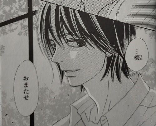 君に届け 番外編 運命の人 くるみ と くるみの恋 の魅力と男性でも楽しめる少女漫画６作品をご紹介 マンガフル